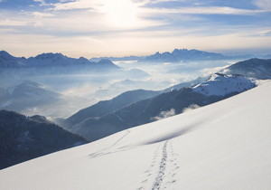 最新composer阿里云镜像设置方法